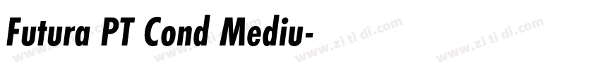 Futura PT Cond Mediu字体转换
